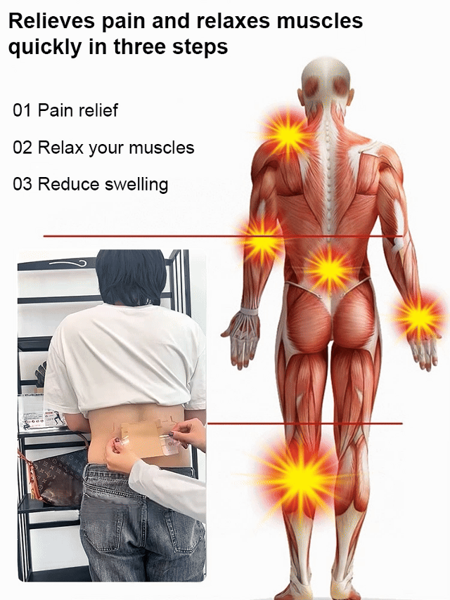 Universal Moxibustion Plaster Patch for Whole Body