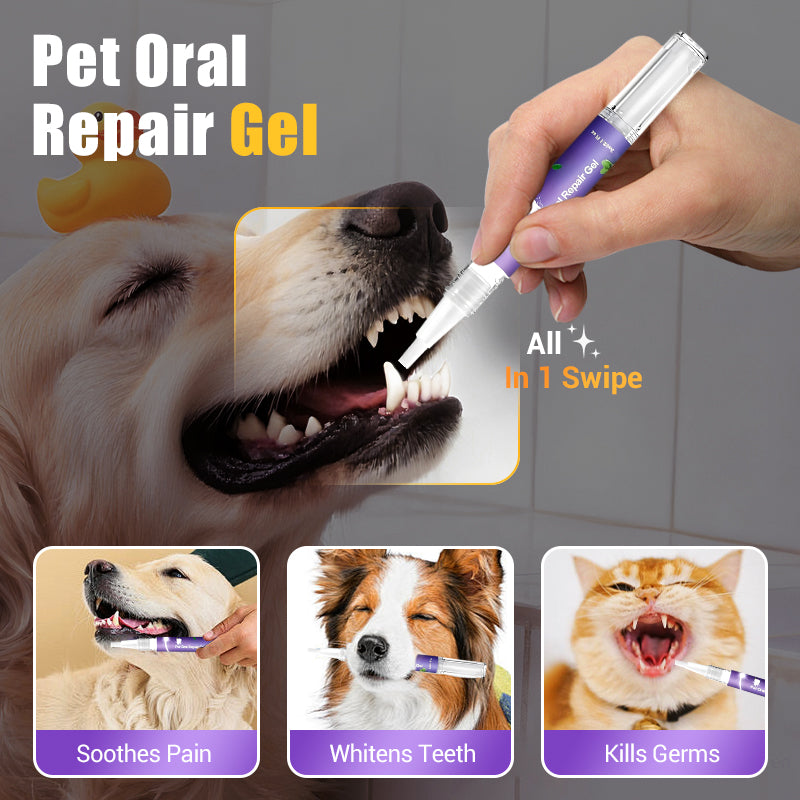 Pet Oral Repair Gel Toothbrush 🐱🐶