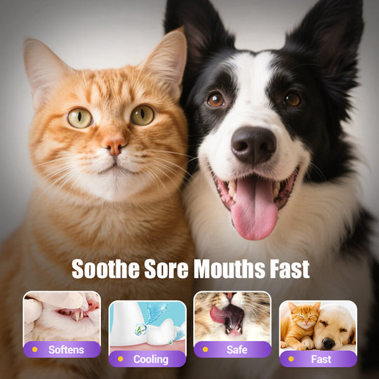 Pet Oral Repair Gel Toothbrush 🐱🐶