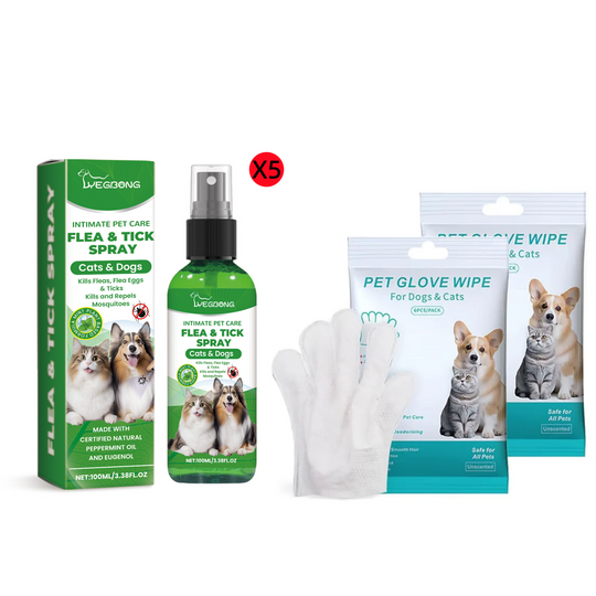 🔥Limited Time Promotion 50% OFF🐶🐱Natural Flea & Tick Spray for Dogs and Cats🐾 Keep Your Beloved Pet Free From Pests