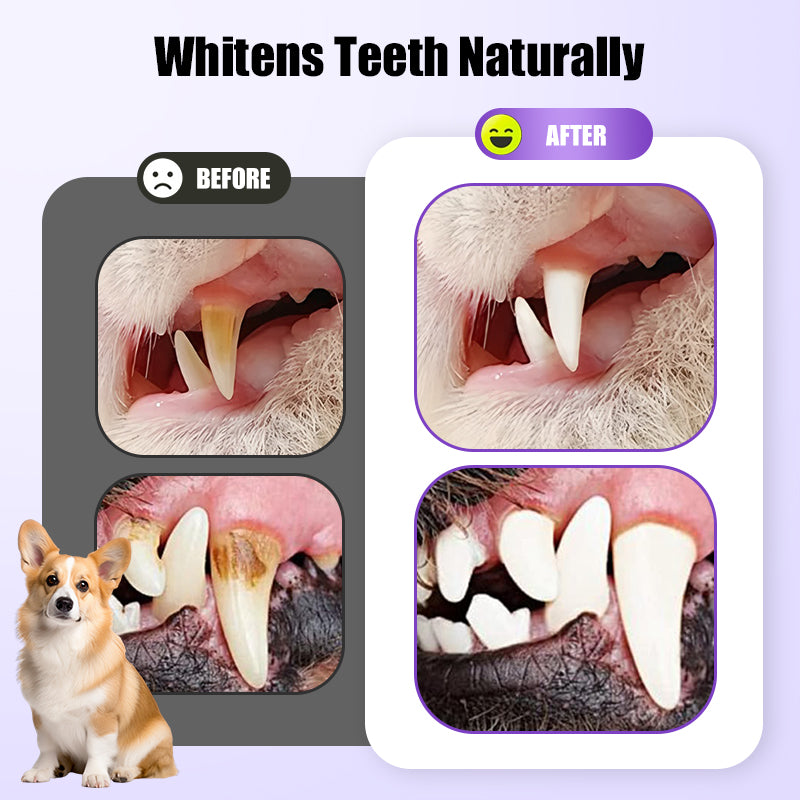 Pet Oral Repair Gel Toothbrush 🐱🐶