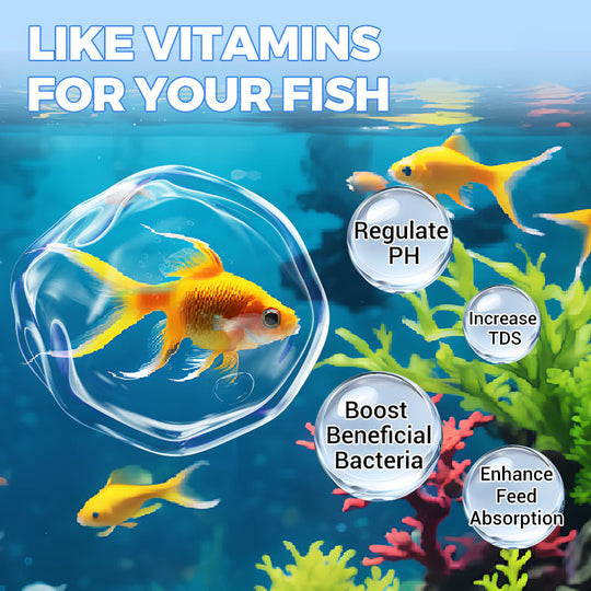 Buy 2 Get 1 Free⚡50K+ SOLD!🐠Powerful Aquarium Water Purification Tablet🌿