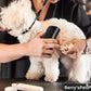 🐶🪮Multifunctional Pet Hair Detangling and Care Comb💈 - Effortless Grooming for a Healthy, Shiny Coat (50% OFF)