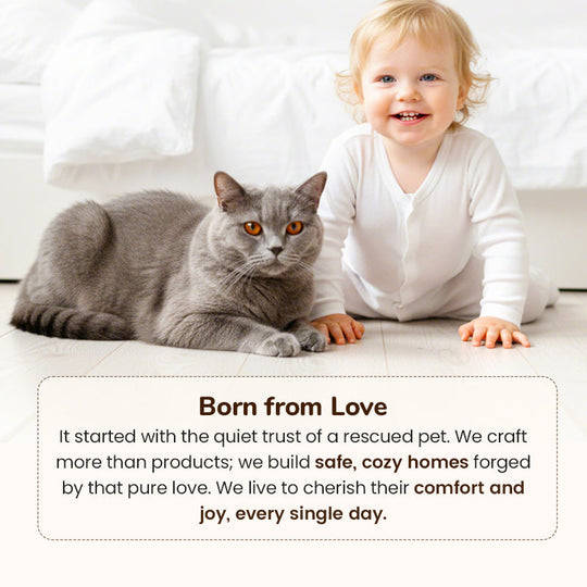 🥳2026 HOT SALE🥳💞50K+ SOLD!💥❄️🛡️ Flash Sale 50% Off! Cozy Pet Cave Bed – Your pet‘s safe haven for winter. Soft, warm & perfect for cuddle-up naps. Peace of mind for caring owners. 🛏️❤️