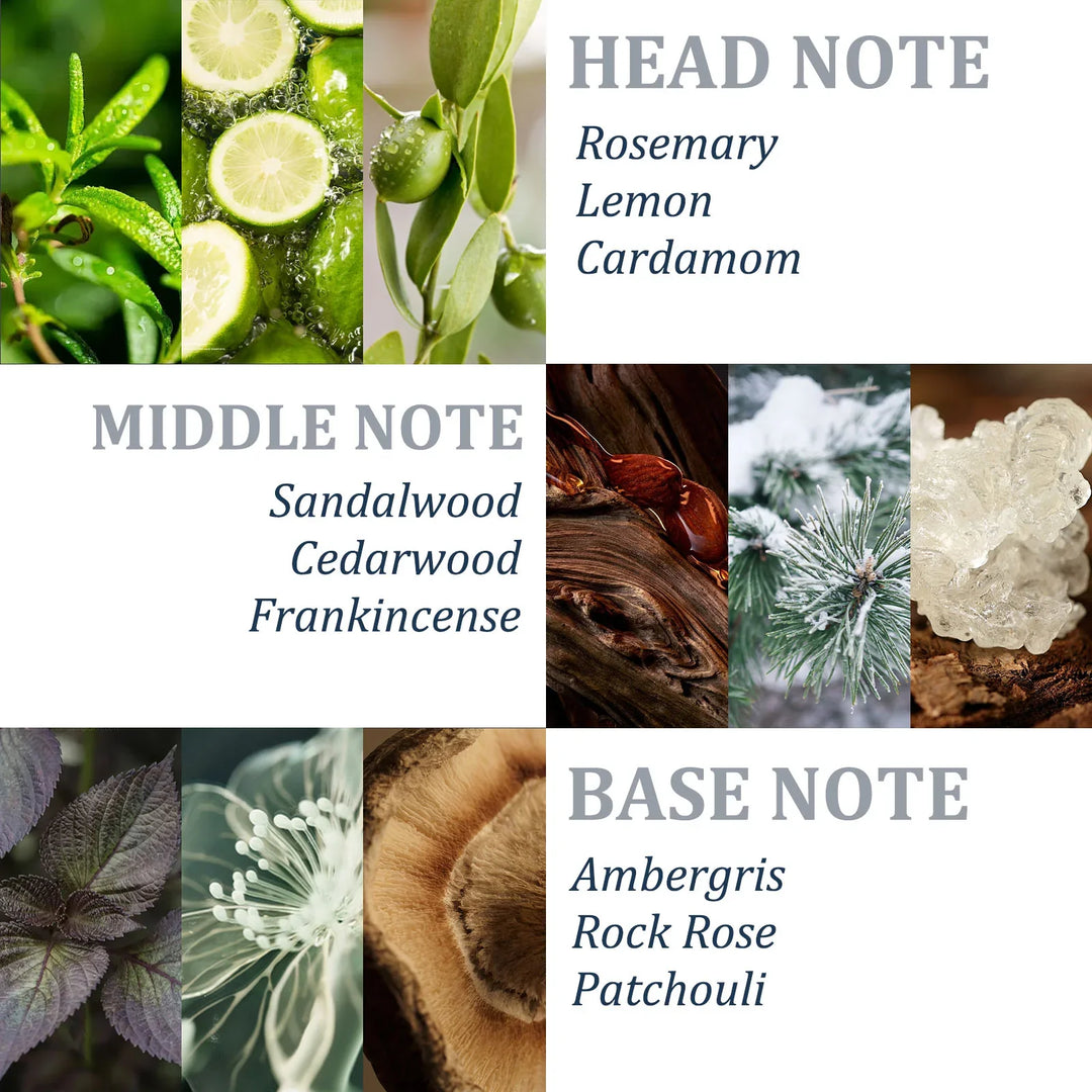 שמפו רוזמרין Tgideas