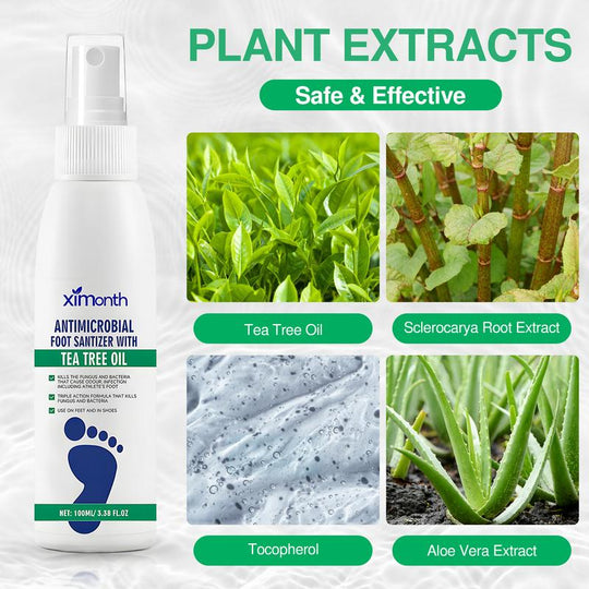 Spraeála Cosa Frithbhaictéarach Luibhe le hOla Crann Tae - Foirmle Fadtéarmach 100ml le haghaidh Boladh Cosa, Cóireáil Cosa Lúthchleasaí & Faoiseamh Tapa ó Thochas