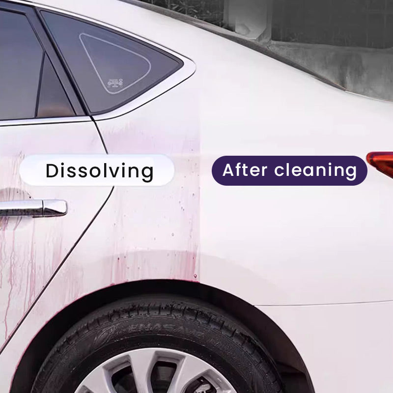 🔥Buy 2 Get 1 Free🔥Iron Powder Rust Remover for Car