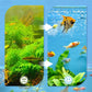 🐠Professional 8D High Density Fish Tank Filter Foam - Limited Time Half Price! Crystal Clear Water for Healthy Fish