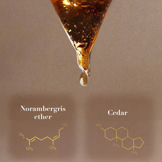 ✨New Arrival✨Night Rhapsody - Captivating and Long-Lasting Men's Perfume