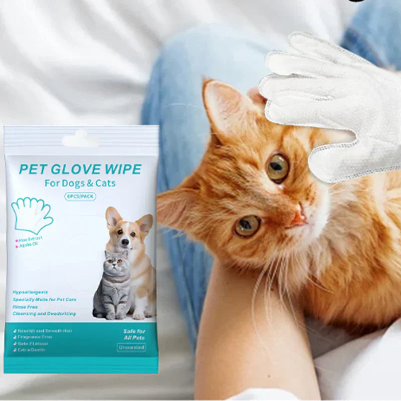 🔥Limited Time Promotion 50% OFF🐶🐱Natural Flea & Tick Spray for Dogs and Cats🐾 Keep Your Beloved Pet Free From Pests