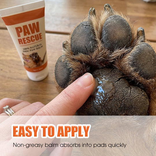 🔥2026 New Arrivals: 50% Off for a Limited Time!🔥Soothing Paw Balm for Cracked Dog & Cat Paws