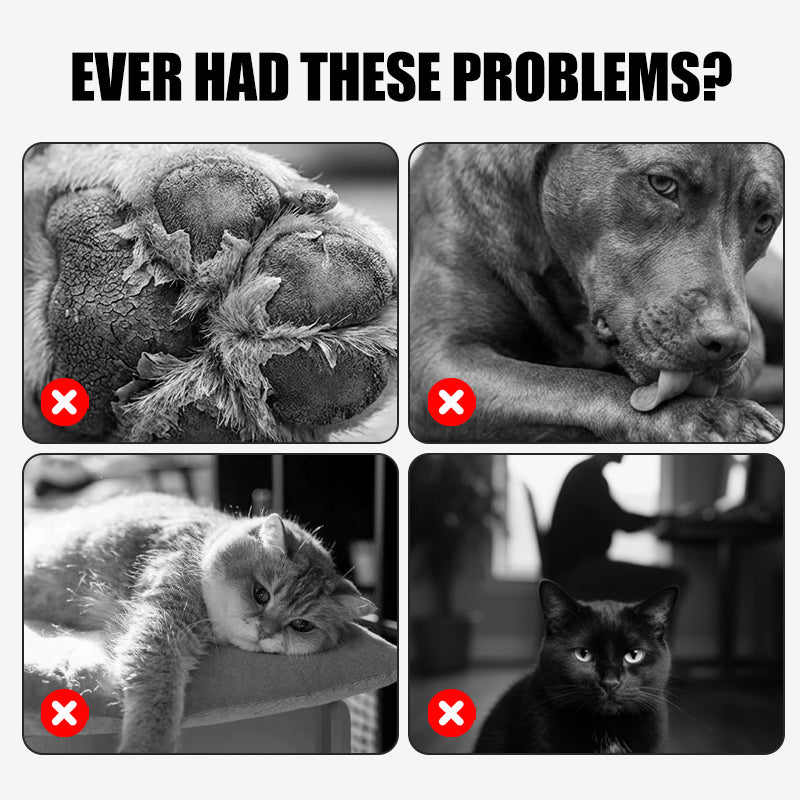 🔥2026 New Arrivals: 50% Off for a Limited Time!🔥Soothing Paw Balm for Cracked Dog & Cat Paws