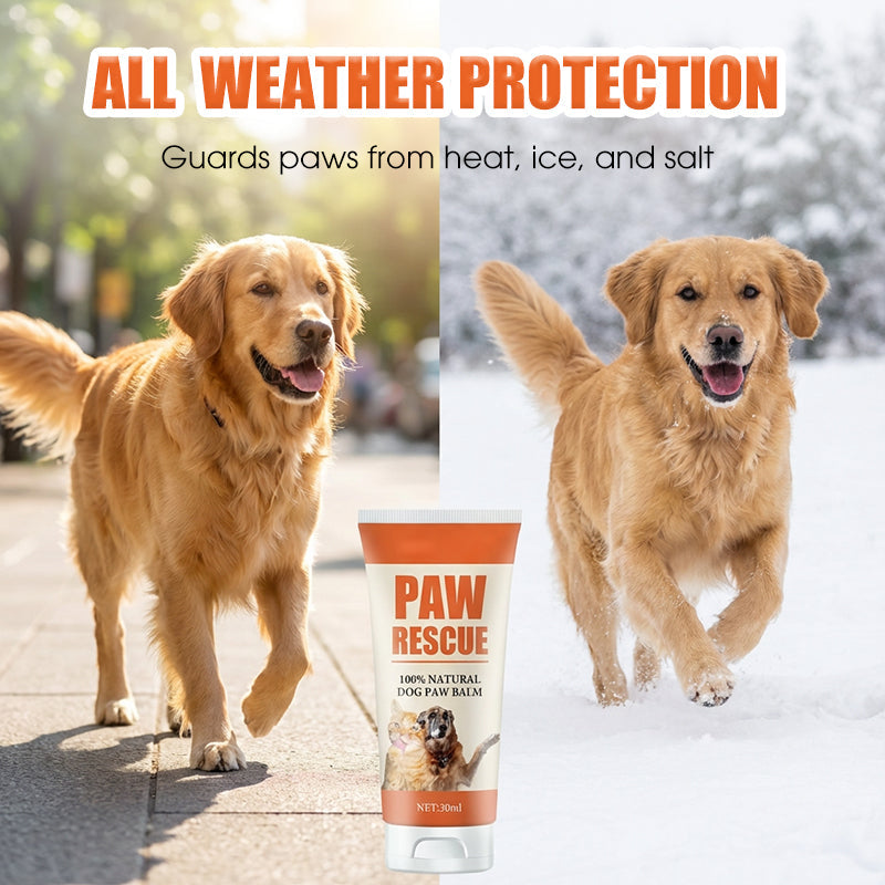 🔥2026 New Arrivals: 50% Off for a Limited Time!🔥Soothing Paw Balm for Cracked Dog & Cat Paws