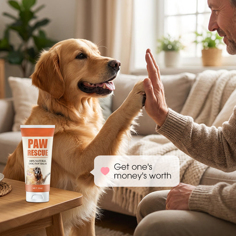 🔥2026 New Arrivals: 50% Off for a Limited Time!🔥Soothing Paw Balm for Cracked Dog & Cat Paws