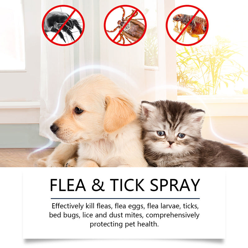🔥Limited Time Promotion 50% OFF🐶🐱Natural Flea & Tick Spray for Dogs and Cats🐾 Keep Your Beloved Pet Free From Pests