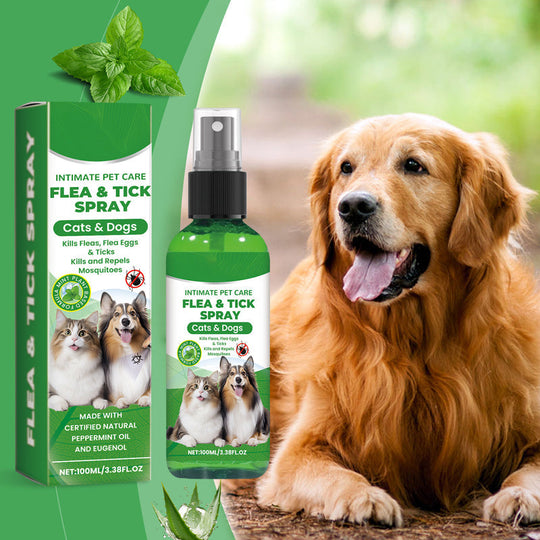 🔥Limited Time Promotion 50% OFF🐶🐱Natural Flea & Tick Spray for Dogs and Cats🐾 Keep Your Beloved Pet Free From Pests