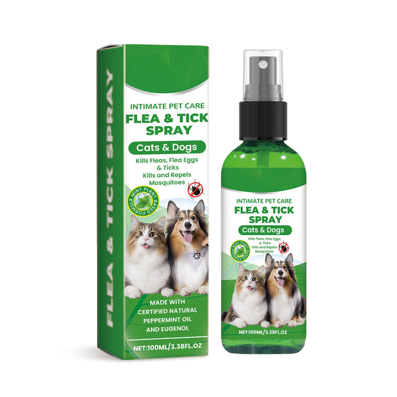 🔥Limited Time Promotion 50% OFF🐶🐱Natural Flea & Tick Spray for Dogs and Cats🐾 Keep Your Beloved Pet Free From Pests