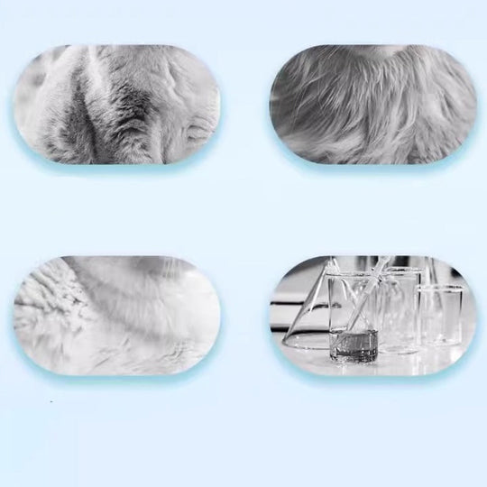 Rinse-Free Pet Shampoo Foam