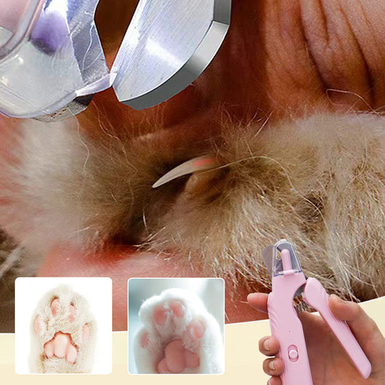 ✨ 2026 HOT SALE🎉2-in-1 LED Pet Nail Clipper