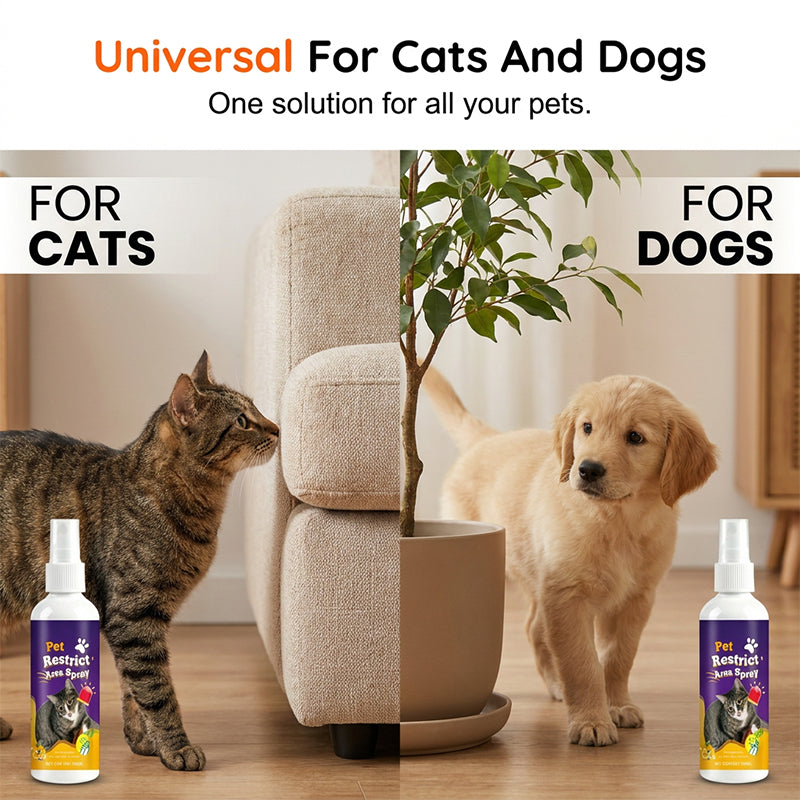 🥳2026 HOT SALE🥳💞50K+ SOLD!🐱🚫 50% OFF! Pet Boundary Spray – Citrus formula, safe around kids. Reusable, effective. Teach boundaries without stress. 💚✨