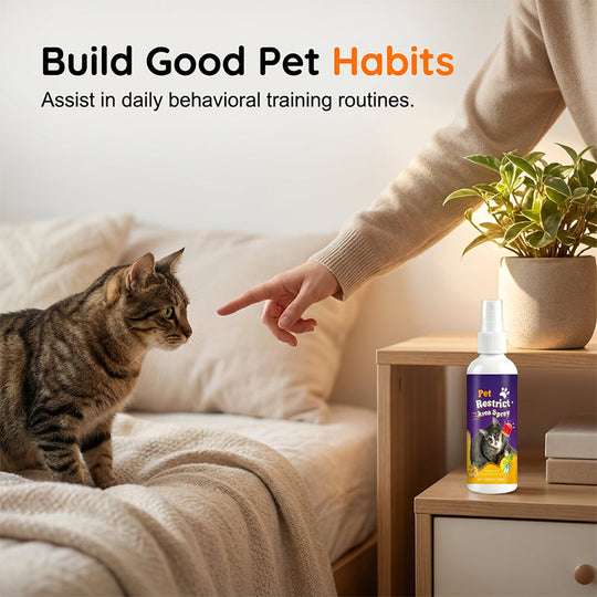 🥳2026 HOT SALE🥳💞50K+ SOLD!🐱🚫 50% OFF! Pet Boundary Spray – Citrus formula, safe around kids. Reusable, effective. Teach boundaries without stress. 💚✨