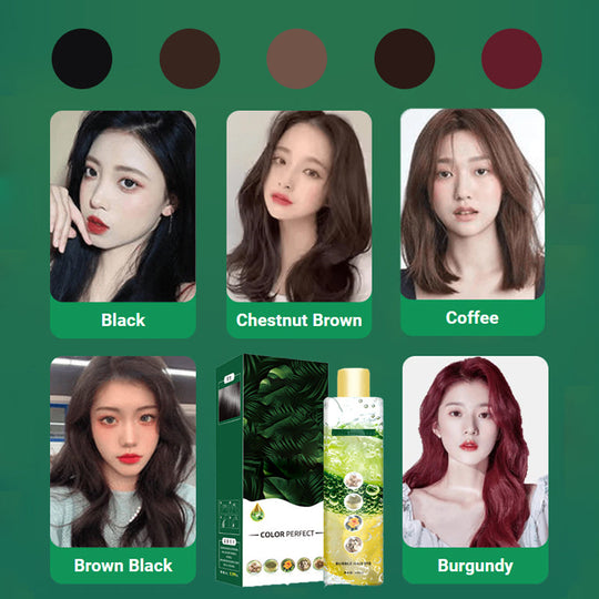 🍀Plant Extract Bubble Hair Dye