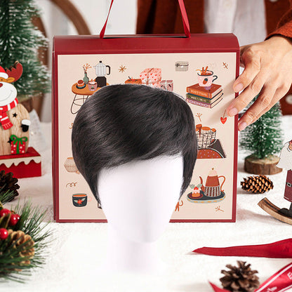 [Thoughtful Gift] Men's Stretch Mesh Wigs